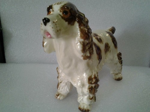 Vintage springer spaniel dog - vintage,
