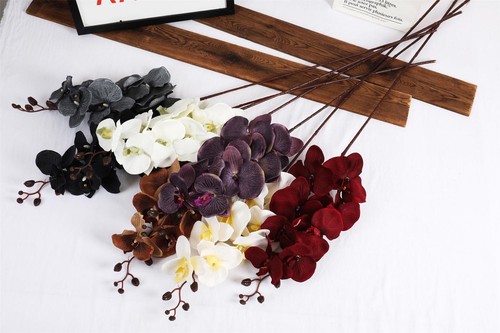 Premium modern large orchid - large,