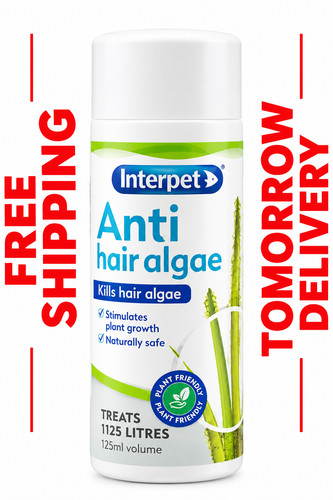 Interpet anti hair algae - interpet,