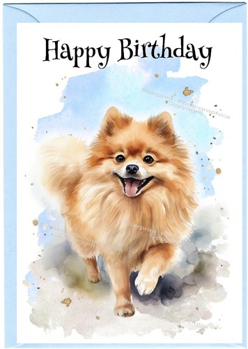 Pomeranian dog birthday - pomeranian,