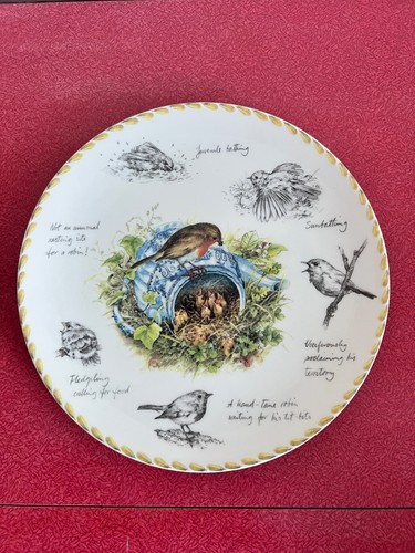 The robin collectable plate - the,