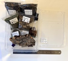 Isopod woodlice invert Box