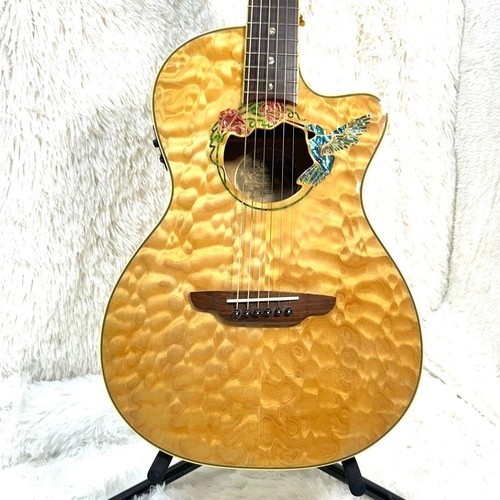 Luna fau hum fauna hummingbird - luna,