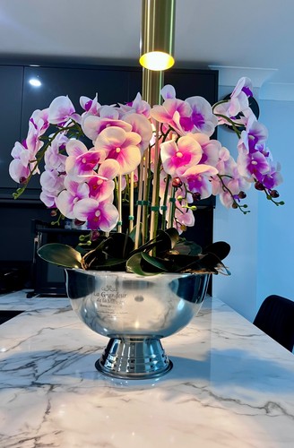 Luxury purple orchid champagne