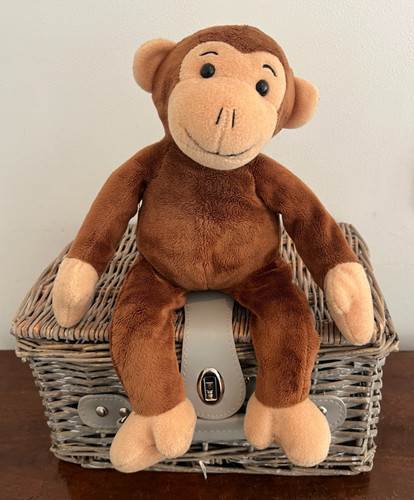 Sainsburys monkey chimp - sainsburys, brown