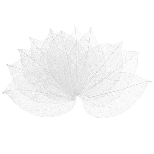 100 pack skeleton leaves - 100-pack,