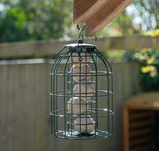 Samuel Alexander Metal Hanging Bird Fat Ball Feeder with Squirrel Guard