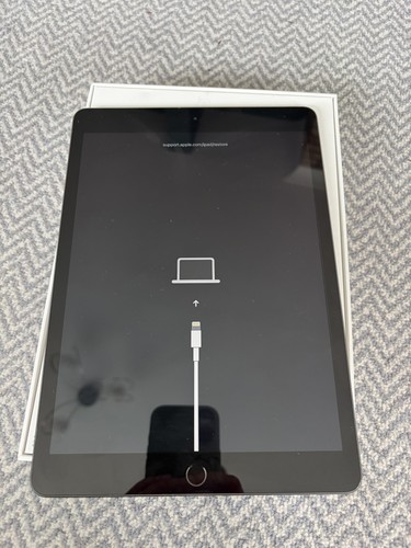 Apple ipad 7th generation - apple,
