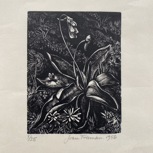 Wood engraving signed - wood,
