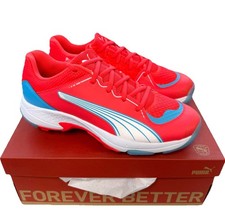Puma 24.1 Spike Cricket Shoes
