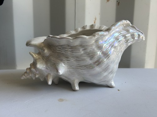 Vintage large conch - large,