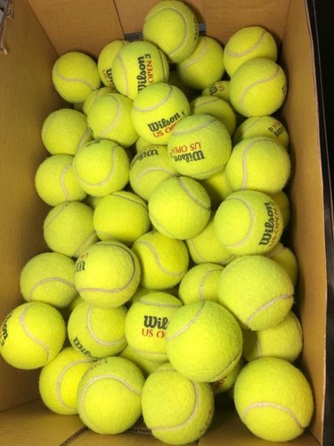 Used tennis balls - tennis,