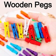 Wooden Craft Pegs 72mm Large