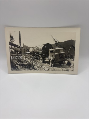 Rppc postcard giant - giant, fir