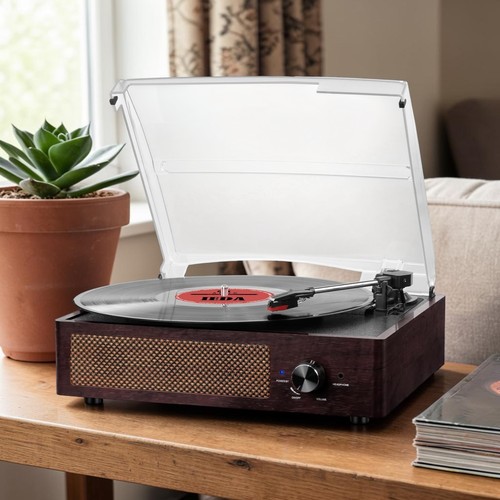 Vinyl record player - vinyl,