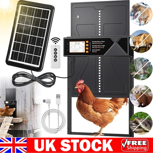 Solar chicken coop door - solar,