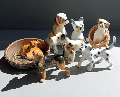 Collection ceramic dogs - collection,