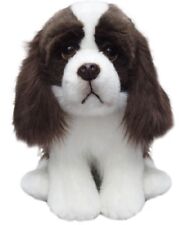 Toy Springer Spaniel, gift