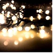 Berry Lights String Red, Warm