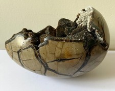 Natural Septarian FOSSIL Dragon Stone Gem Geode CALCITE Crystal Egg UK Seller