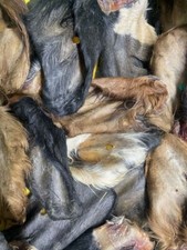 XL Sows Cows Beef Buffalo Ears with Fur Hair 1 KG