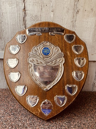 Big trophy shield 13 - trophy,