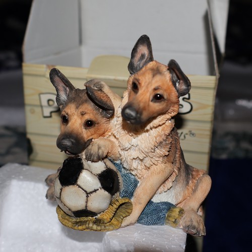 Alsatian puppies match the - alsatian, "match