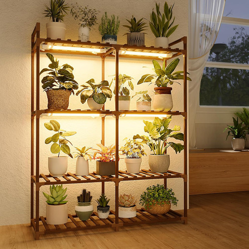 Plant stand with - plant, grow