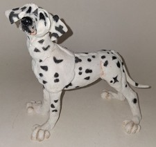 A Breed Apart Dalmatian Dog