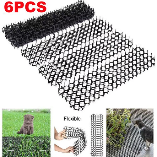 Cat scat mat spike - scat,
