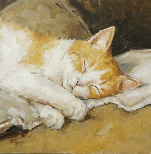 Oil painting sleeping cat - oil,