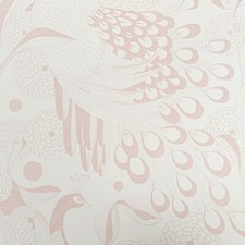 Pink White Peacock Wallpaper