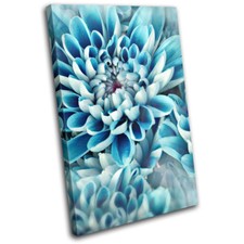 Zinnia Gift Modern blue flower  Floral SINGLE CANVAS WALL ART Picture Print