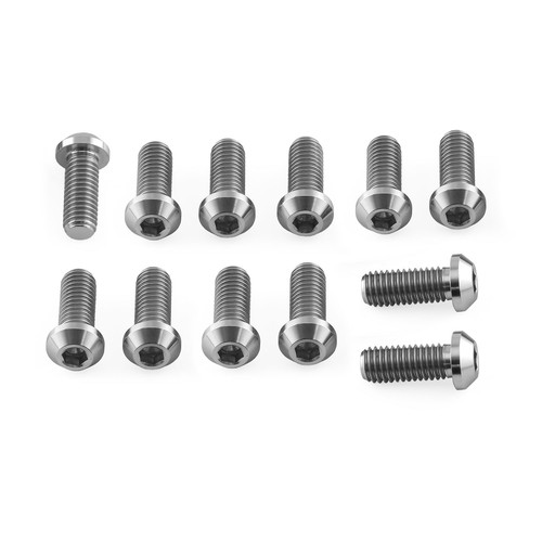 Titanium disc bolts natural - disc,