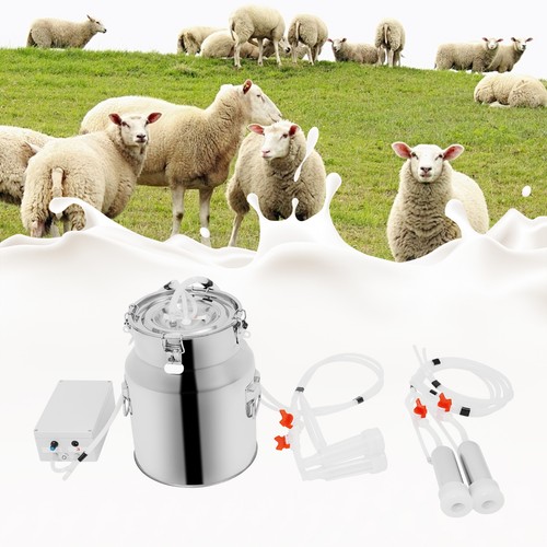 Electric cow milking - cow,