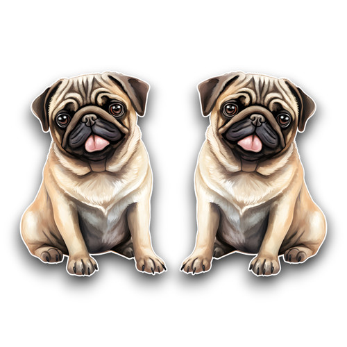 Small cute pug - small, puppy