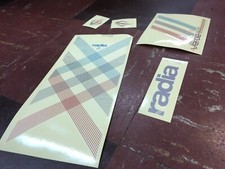 Verde Bikes 2010 radia