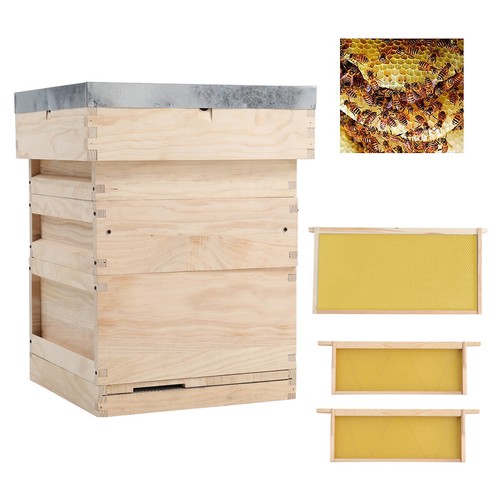 National bee hive - hive,