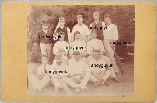 Cabinet card cricket - cabinet,