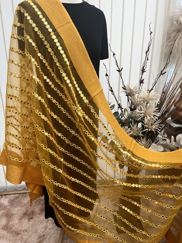 Indian dupatta pakistani - indian, dupatta,