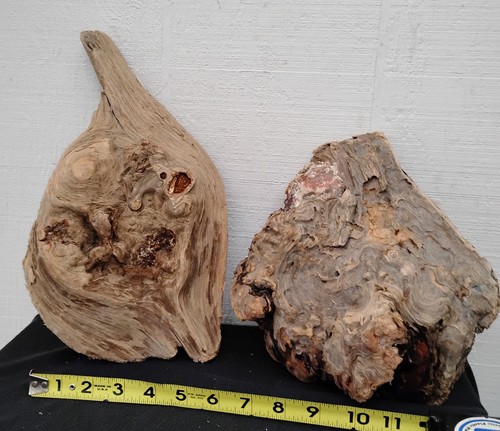 Round flat driftwood - flat(ish),