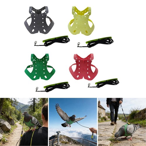 Pigeon harness and - harness,