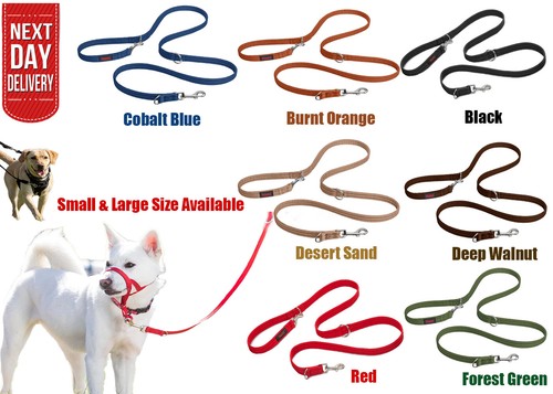 Halti dog lead - dog,