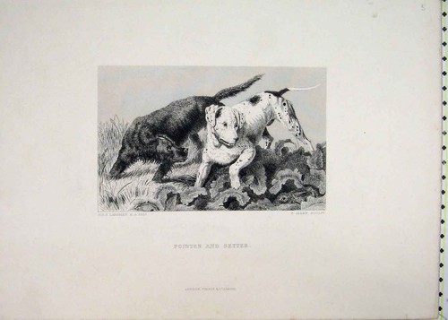 Original old antique - antique, print