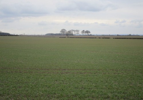 Photo 6x4 autumn - autumn, sown