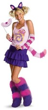 The Cheshire Cat Adult Costume