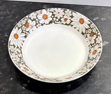 vintage retro Midwinter