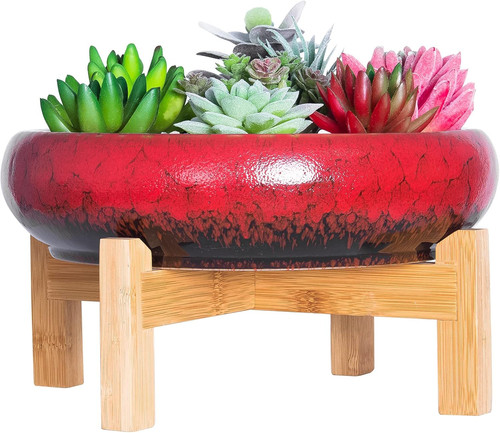 Artketty succulent plant pot - plant,