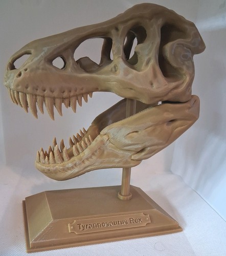 Rex printed dinosaur - t-rex,