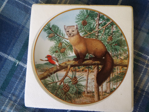 Franklin porceline american - franklin,